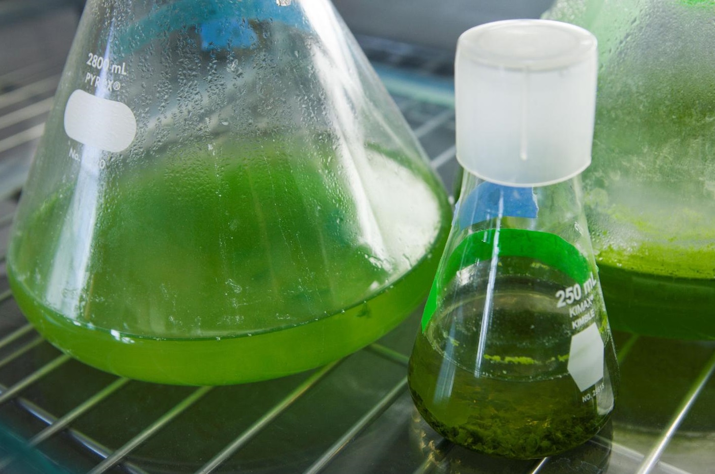 Разработка проекта